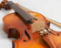 Violon